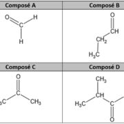 Composés organiques oxygénés de la famille des aldéhydes
