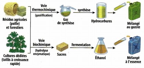 biocarburants produits à partir de la récupération de biomasse végétale inutilisée